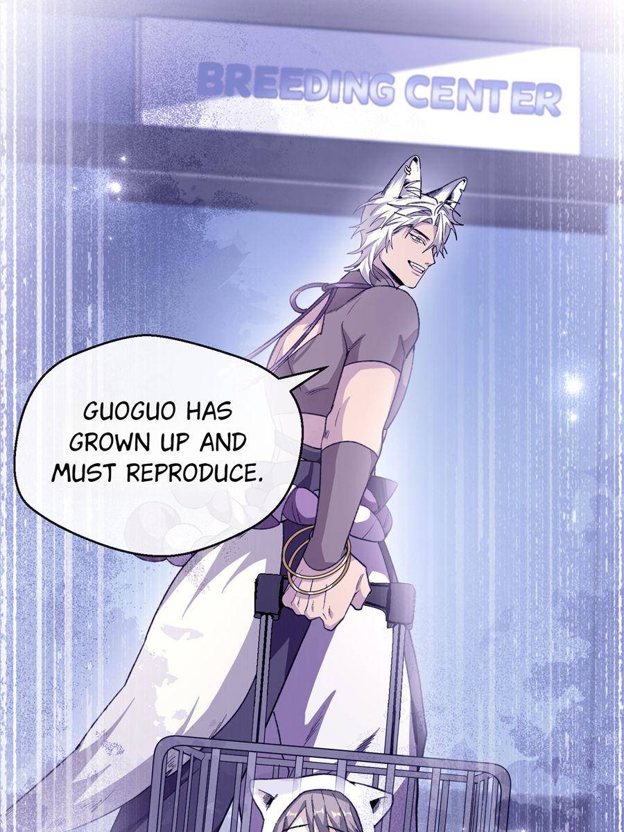 42. The Weird Rules of the Beast World 92 81431306 900 1200 168270